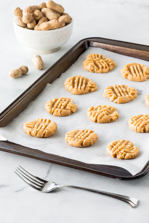 Raw peanut butter cookies on a parchment lined cookie sheet pan.の写真素材
