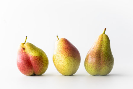 A close up view of fresh Forelle pears in a row against a white background.の写真素材