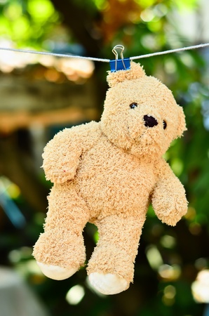 Wet teddy on a clothesline with blue clipの写真素材