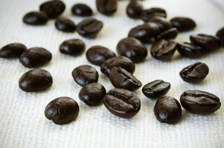 Dried coffee seed on brownish fabric 