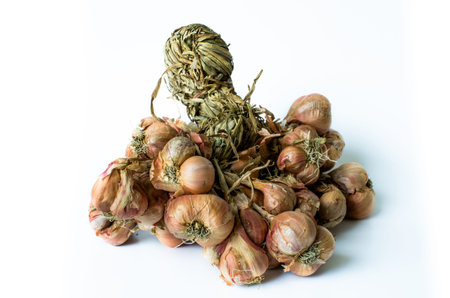 Shallots on white background