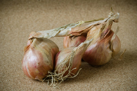 Slice Shallots on brown cork background stock photo