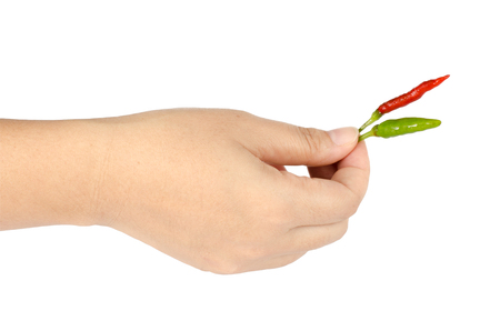 Image of hand holding red and green chilli on white backgroundの写真素材