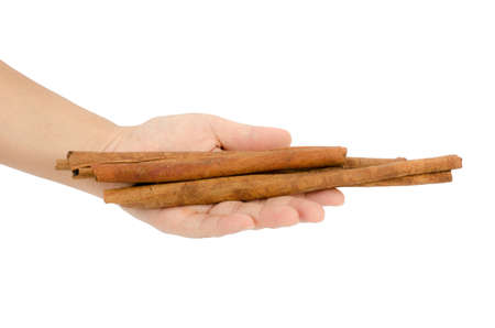 Image of cinnamon sticks in woman's handの写真素材