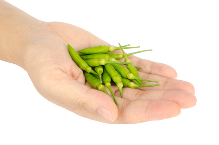 Green chilli in woman's hand isolate on white backgroundの写真素材