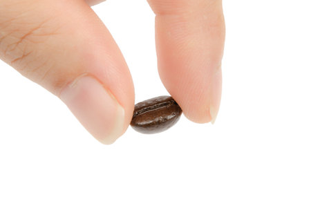 coffee bean hold by two fingersの写真素材