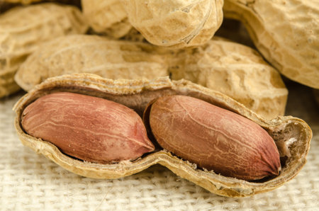 Image of roasted peanuts on sack fabric