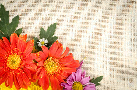 Image of flowers on brown sack  backgroundの写真素材