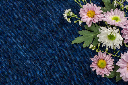 Image of flowers on deep blue fabric backgroundの写真素材