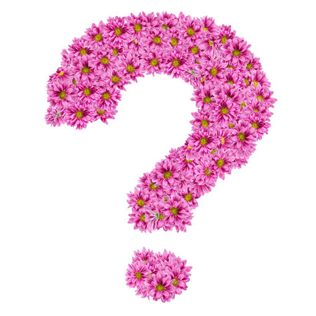 Image of question sign made from flowers on white backgroundの写真素材