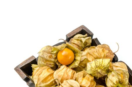 Image of cape gooseberry on white backgroundの写真素材