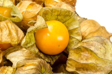 Closeup Image of cape gooseberry on white backgroundの写真素材