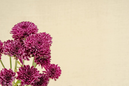Image of flowers on brown sack  backgroundの写真素材