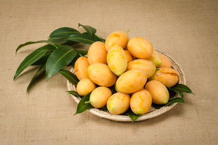 Image of fresh marian plum on fabric background