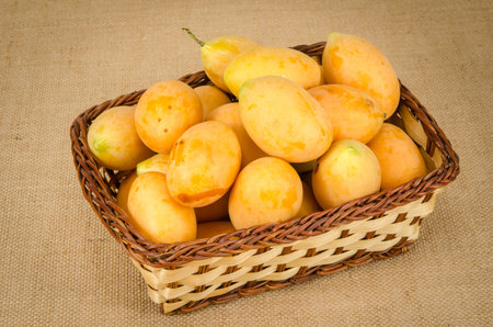 Image of fresh marian plum on fabric background