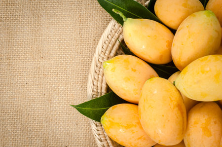 Image of fresh marian plum on fabric background