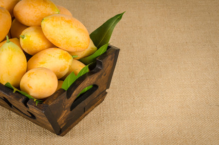 Image of fresh marian plum on fabric background