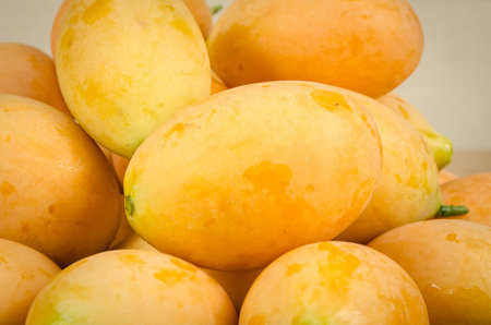 Image of fresh marian plum on fabric backgroundの写真素材