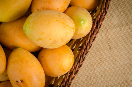 Image of fresh marian plum on fabric backgroundの写真素材