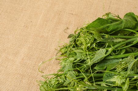 Image of vegetables on brown sack backgroundの写真素材