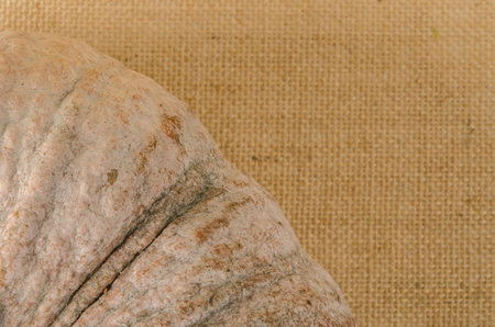 Close up image of pumpkin