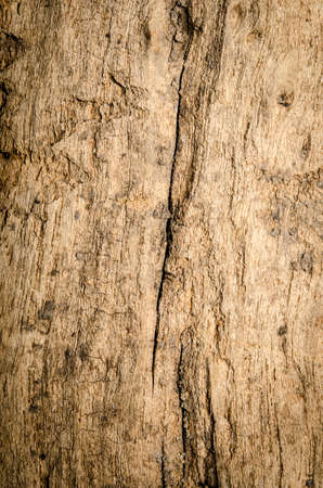 Old grunge wood backgroundの写真素材