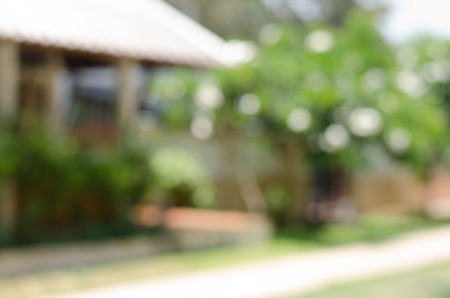 Image of abstract nature blur backgroundの写真素材