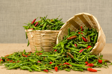 Green and red Thai chili peppersの写真素材