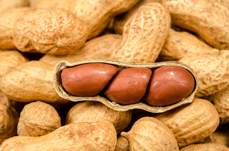 Close up image of peanutsの写真素材
