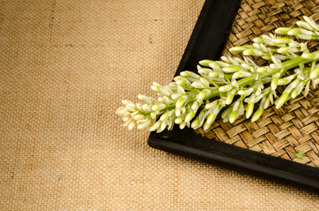 Galanga flower on brown sack backgroundの写真素材
