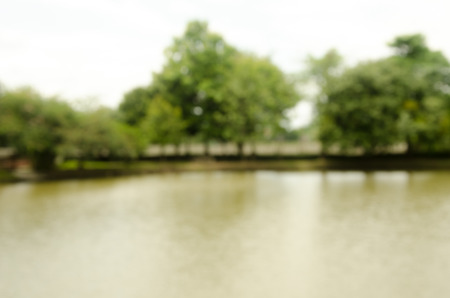 Image of blurred nature for backgroundの写真素材