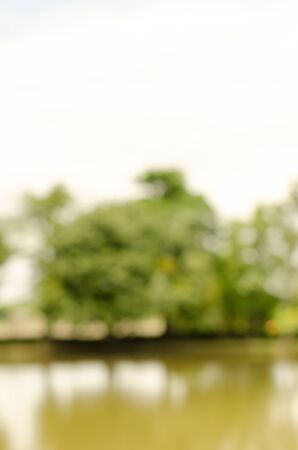 Image of blurred nature for backgroundの写真素材