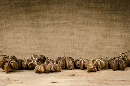 Image of sacha inchi peanut seed on brown sack backgroundの写真素材