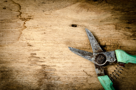 Old pruning shear on wood boardの写真素材