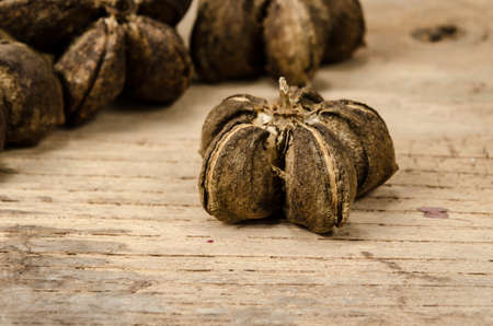 Image of sacha inchi peanut seed on brown sack backgroundの写真素材