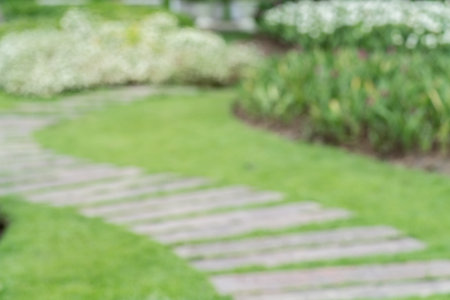 Abstract nature colorful flowers blur backgroundの写真素材