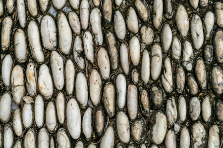 White Gravel concrete texture backgroundの写真素材