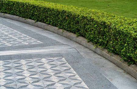 Concrete block pathway with curve of trimmed bush plants in the park