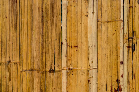 Bamboo bark plate texture backgroundの写真素材