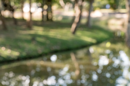 Abstract nature green trees with green lake in the park blurred backgroundの写真素材