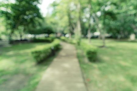 Abstract blurred Image of green nature for background usageの写真素材
