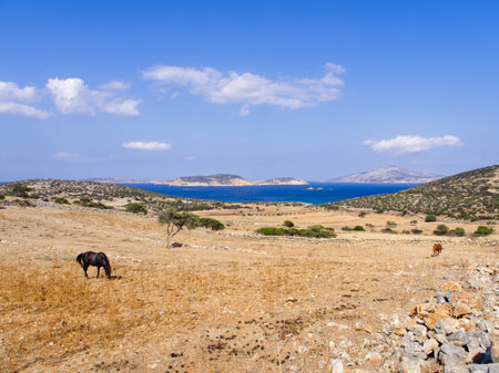 Cycladitic landscape during summertimeの写真素材