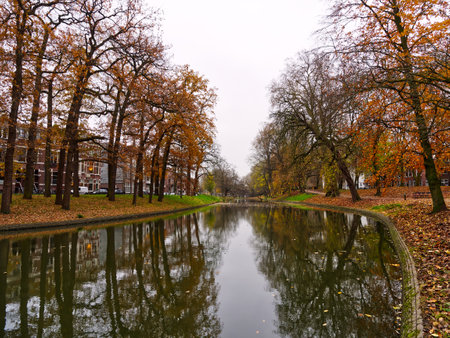 Beautiful canal autumn tree reflection cloudy winter day, Netherlandsの写真素材