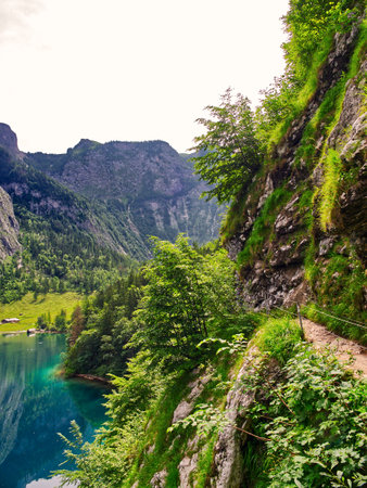 Lakeshore vertical view in the mountainsの写真素材