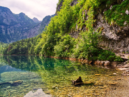 Lakeshore crystal clear calm lake waterの写真素材