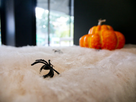 Halloween pumpkin and spider decoration close-upの写真素材