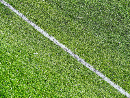 Diagonal white line in football field green grassの写真素材
