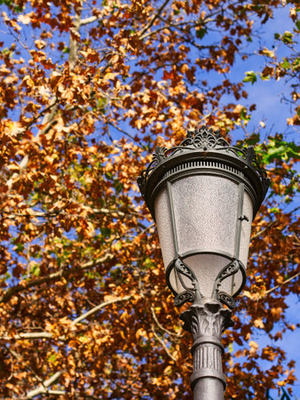 Vintage street lantern lamp with tree behindの写真素材