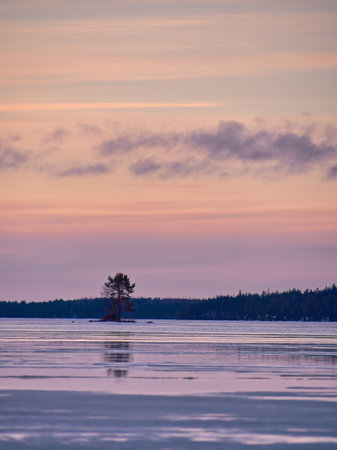 Single tree reflected in frozen lake during sunset under dramatic sky.の写真素材