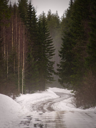 Winding road through the forest with snow. Fog in the back.の写真素材